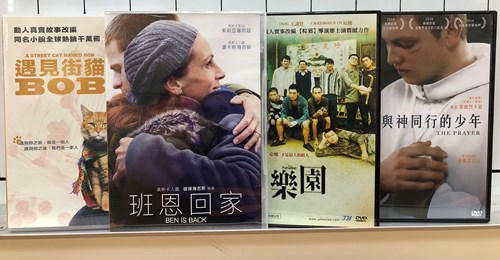 照片3